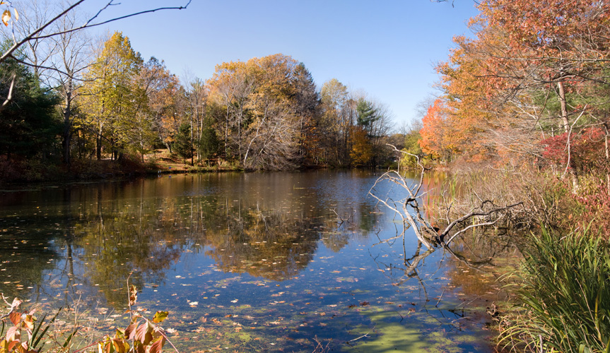Mill Pond Panorama MILL POND, PEABODY, MA This panorama… Flickr